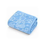 Teddy Plush Baby Blanket